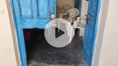 नरवल: महाराजपुर थाना क्षेत्र के अंतर्गत आचार्य रघुवीर इंटर कॉलेज में हुई लाखों की चोरी