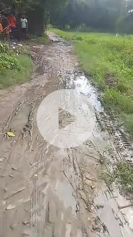 khomar maina dubar kalan #pradhan