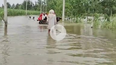 धनौरा: गजरौला में गंगा नदी उफान पर, तिगरी घाट डूबा, खतरे के निशान से लगभग एक मीटर दूर जलस्तर