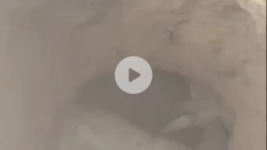 तारानगर: जिगसाना में 15 फ़ीट पुराने कुएं में गिरा सांड, बालाजी गौ सेवा समिति व ग्रामीणों ने 3 घंटे की मेहनत से निकाला बाहर