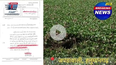 जोहड़ों से नहीं निकली केली, मवेशी मर रहे, घरों में घुसा पानी ! अफसर बोले – असंभव है 
#Jandawali #Hanumangarh #ToxicWaste