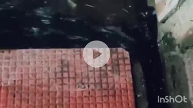 मुंगेर: मां चंडिका स्थान के गर्भगृह में घुसा गंगा का पानी, जिले में गंगा खतरे के निशान से 10 सेमी ऊपर