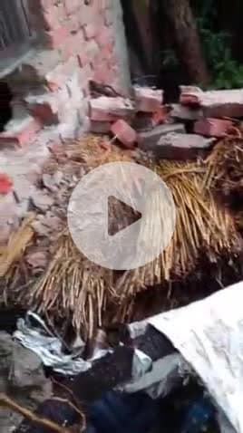 कादीपुर: बड़ौरा ख्वाजापुर में दो घरों से नकदी और जेवरात हुए चोरी, पुलिस जांच में जुटी