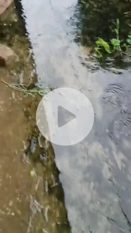 ये हाल है अकोढ़ी पंचायत का | जब पंचायत का ये हाल है तो आप सोचे बाकि क्या विकाश हो रहा है 
#pmo #panchayat #bhabua #bihar