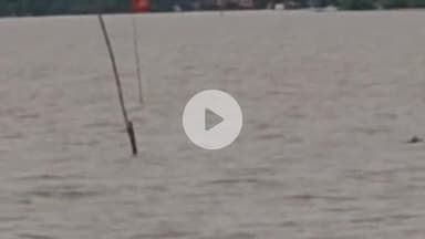 संदेश: गंगा और सोन का बढ़ता जलस्तर, बाढ़ की आशंका से प्रशासन सतर्क, संदेश में प्रशासन टीम हुई सक्रिय