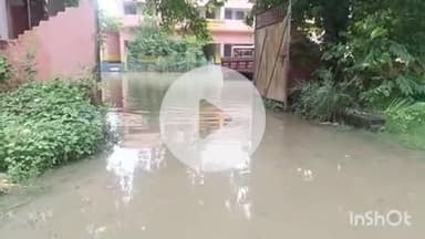 आरा: आरा शहर के ग्रामीण इलाके में विद्यालय और मुख्य सड़क पर बाढ़ का पानी चढ़ने से आवागमन हुआ बंद