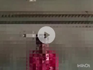 गोरखपुर: चिलुआताल क्षेत्र में नाबालिग के साथ हुई हैवानियत में पुलिस ने मुकदमा दर्ज कर मकान मालिक को किया गिरफ्तार