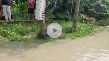 महनार: हसनपुर हवराहा दुर्गा मंदिर के पास बाढ़ में करंट लगने से एक भैंस की मौत