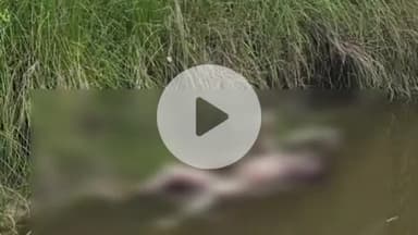 पडरौना: माधोपुर ड्रेन में मिले अज्ञात युवक के शव की पुलिस ने शिनाख्त करवाई, पोस्टमार्टम के बाद परिजनों को सौंपा