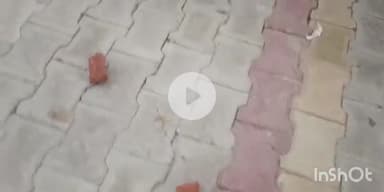 बागपत: असामाजिक तत्वों पर घर में पत्थर फेंकने का आरोप, पीड़ित किसान ने बालैनी थाना पुलिस से की शिकायत