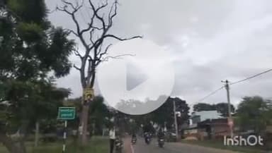 कटकमदाग: कटकमदाग प्रखंड में सड़क पर सूखे पेड़ से लोगों को हो रही परेशानी, हटाने की मांग