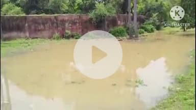 बक्सर: जलस्तर घटने के बाद भी गंगा खतरे के निशान से 19 सेमी ऊपर, कई नए क्षेत्र बाढ़ से प्रभावित