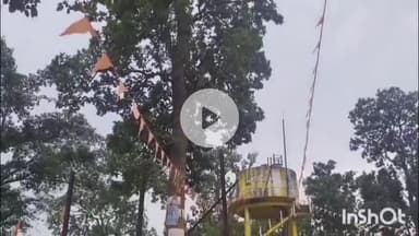 सन्ना बस स्टैंड में साल के पेड़ काटने के मामले में SDM ने मौखिक आदेश देकर ग्राम पंचायत को किया मना