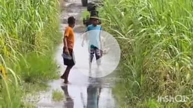 जानसठ: रामराज क्षेत्र के बाढ़ ग्रस्त इलाकों में फसलें जलमग्न, चारों तरफ जल ही जल, किसानों को भारी नुकसान की आशंका