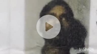 बहराइच: परागपुरवा में तालाब में डूबकर युवक की हुई मौत