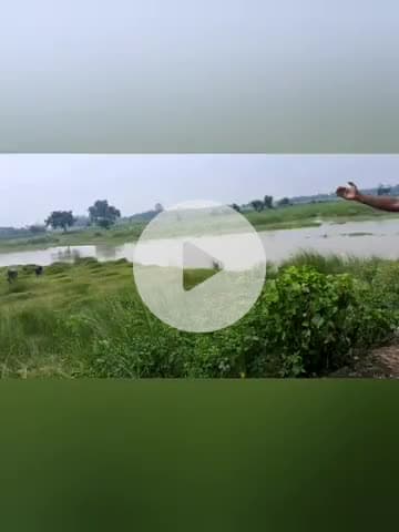 प्रतापगंज: प्रतापगंज के चिलौनी उत्तर पंचायत के धार में मिली अज्ञात लाश, फैली सनसनी