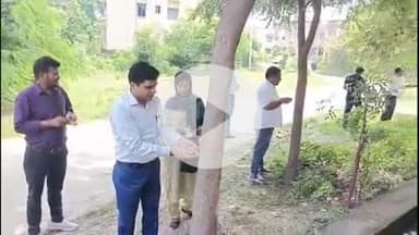 सिलाव: सिलाव प्रखंड कार्यालय में अधिकारियों ने पेड़ में राखी बांधकर मनाया रक्षा बंधन