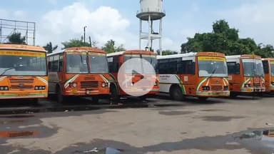 रामपुर: रक्षाबंधन के पावन पर्व पर रामपुर रोडवेज परिसर में सफेद हाथी बनीं रोडवेज बसें, अफसर लापता, यात्री बेहद परेशान