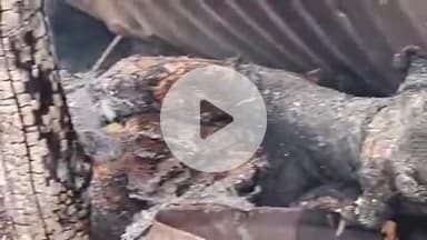 प्रभात पट्टन: खेत में बनी झोपड़ी में आग, गाय के बछड़े समेत कृषि उपकरण जलकर खाक