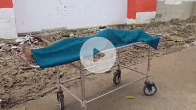 बेगूसराय: बेगूसराय में सांप काटने से मासूम बच्ची की मौत, परिजनों में कोहराम, पुलिस जांच में जुटी