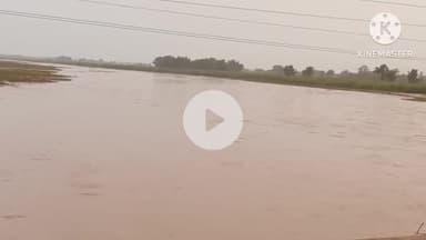 बगहा: रामनगर: मसान नदी के जलस्तर में हुई वृद्धि