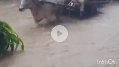 बागपत: बागपत के खेकड़ा कस्बे में सुबह से हो रही लगातार बारिश से जनजीवन अस्त-व्यस्त, वीडियो सोशल मीडिया पर वायरल