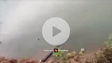 జడ్చర్ల: మన్ననూర్ వద్ద ప్రమాదకరంగా ప్రవహిస్తున్న కేఎల్ఐ కాలువ