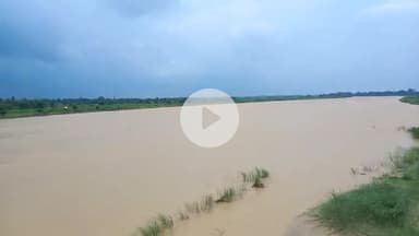 उतरौला: राप्ती नदी का जलस्तर घटने से राहत, सैकड़ों बीघा खेत मगन होने का खतरा टला, लेकिन किसानों को अभी भी बढ़ का खतरा बरकरार