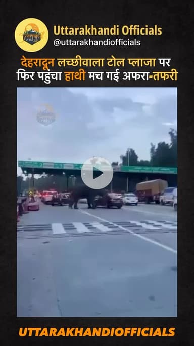 देहरादून: लच्छीवाला टोल प्लाजा पर फिर पहुंचा हाथी, मच गई अफरा-तफरी
