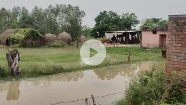 धनौरा: हरिद्वार बिजनौर बैराज से गंगा में छोड़ा जा रहा पानी, गजरौला में बाढ़ जैसे हालात, ग्रामीण परेशान