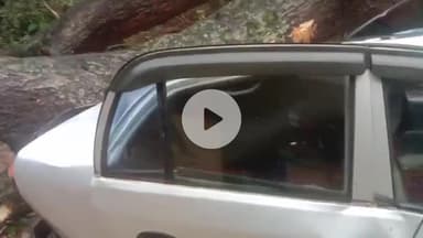 लोहरदगा: विशाल आम का पेड़ गिरने से मारुति कार दबी, वाहन क्षतिग्रस्त, यातायात बाधित