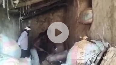 कर्वी: मऊ के नीबी बिहटा गांव में ग्रामीणों ने मृतका के घर से कातिल सर्प को पकड़वाया