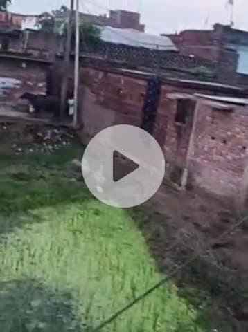 nalnda thrthri prkhnd ka narayn pur beldari bigha gav