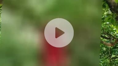 बल्दीराय: सराय बग्घा में पेड़ से लटकती मिली युवक की लाश, जांच शुरू