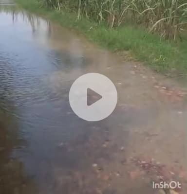 इंदौरा: मंड इंदोरा में पौंग डैम का पानी पहुंचा, वीडियो सोशल मीडिया पर हुआ वायरल