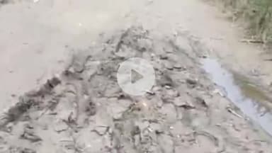 करनैलगंज: 27 साल से कच्ची सड़क पर चल रहे रामबारी गांव के ग्रामीण, बारिश में हालत बदतर #jansamasya