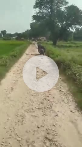 लंभुआ: भगौतीपुर में युवकों के दो गुटों के बीच हुई मारपीट, बाइक को तोड़कर लगाई आग