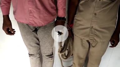 समस्तीपुर: हरपुर एलोत में पुलिस ने चोरी की बाइक के साथ एक युवक को किया गिरफ्तार