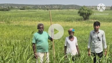 पचपदरा: सहायक कृषि अधिकारी ने ग्रामीण क्षेत्रों का भ्रमण कर फड़का कीट से फसलों को नुकसान से बचाव के लिए ग्रामीणों को दी सलाह