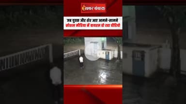 Gujrat के जूनागढ़ में अचानक शेर आने से मच हड़कंप। #Gujarat #Junagadh #Lion #CCTV