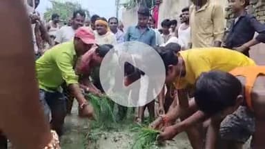 कुशेश्वर स्थान: शनिचरा तासमन में सड़क पर धान रोपकर ग्रामीणों ने जताया विरोध, चुनाव बहिष्कार की चेतावनी