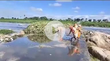 పోచంపల్లి: జూలూరు లో లెవెల్ బ్రిడ్జి పై పేరుకుపోయిన గుర్రపుడెక్క ఆకు, తొలగించిన గ్రామపంచాయతీ సిబ్బంది