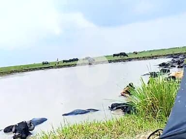 hardspur ke log bard se pirit hai aapne janbar ke saath hai