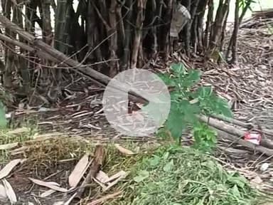 hamare gaon ka lucky 🥳🥳🥳😘😗😘😗