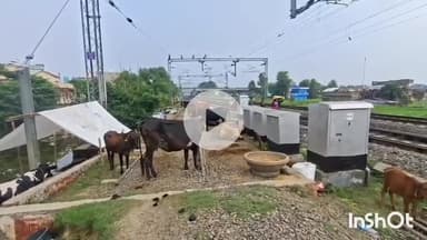 मुंगेर: मुंगेर में गंगा खतरे के निशान से 54 सेमी ऊपर, बाढ़ पीड़ितों ने रेल पटरी के बगल में बनाया आशियाना