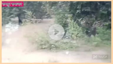 रामपुर: #रामपुर: नदी के कटान से पुल की एप्रोच मार्ग धंसने पर मरम्मत का कार्य हुआ शुरू, मुस्तफा हुसैन ने प्रशासन का जताया आभार