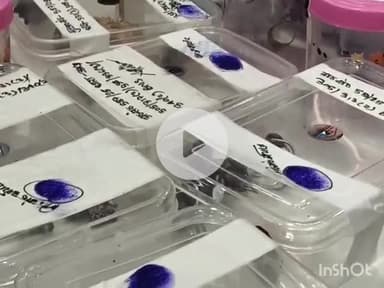 गोरखपुर: बंद घरों को निशाना बनाकर चोरी करने वाले चोर गैंग का खुलासा, प्रेसवार्ता में एसएसपी गोरखपुर ने दी जानकारी