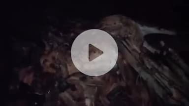 प्रभात पट्टन: खेत में आग लगने से गाय और एक बैल की जलकर मौत