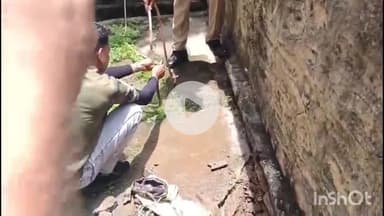 भीलवाड़ा: राजकीय रेलवे पुलिस चौकी में घुसा सांप, मची अफरा-तफरी, वन्य जीव रक्षक ने किया सांप का रेस्क्यू