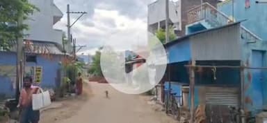 வத்திராயிருப்பு: வத்திராயிருப்பு பகுதிக்குள் நுழைந்த நட்சத்திர ஆமையை மீட்ட தீயணைப்புத் துறையினர்